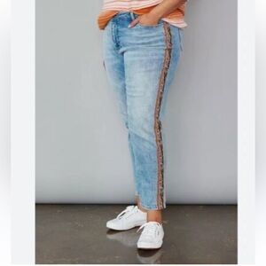Anthropologie Pilcro Slim Boyfriend Jeans with trim 24W